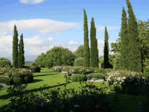 Giardini Italiani (viterbese) – Foto di F. Montesanti